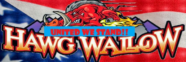 TeeTomTomm Profile Banner