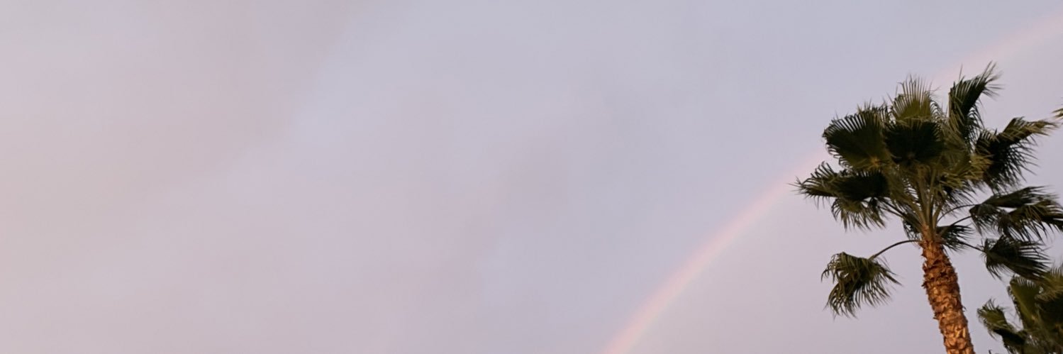 papces's profile banner image