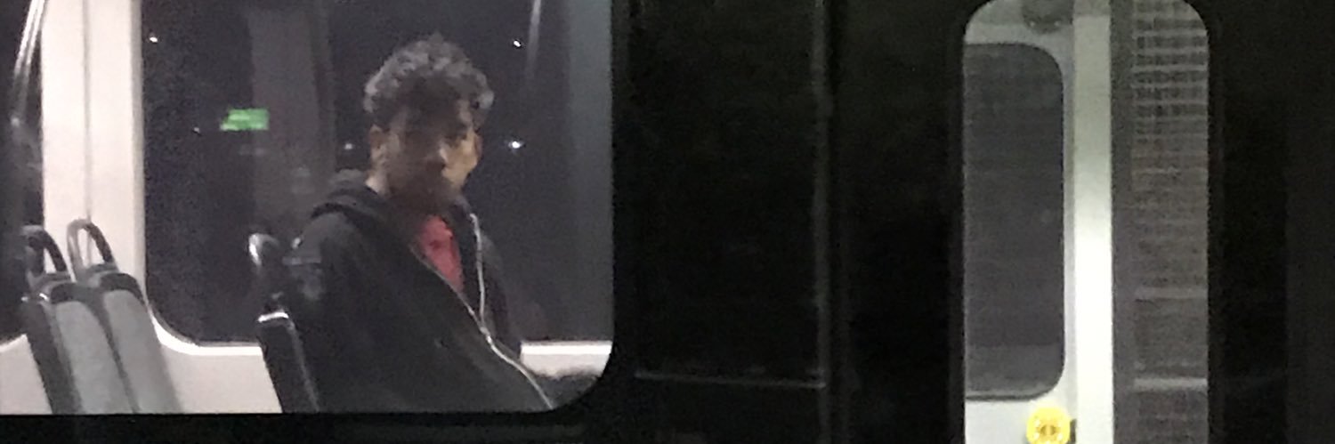 turtlegets's profile banner image