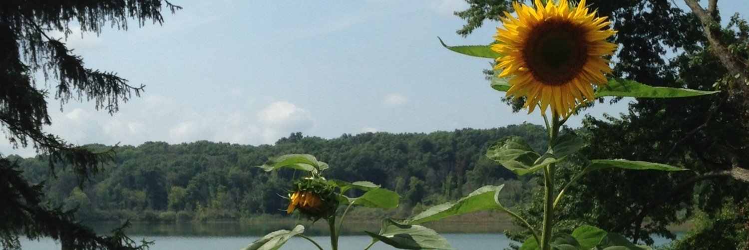 mathematicus3's profile banner image