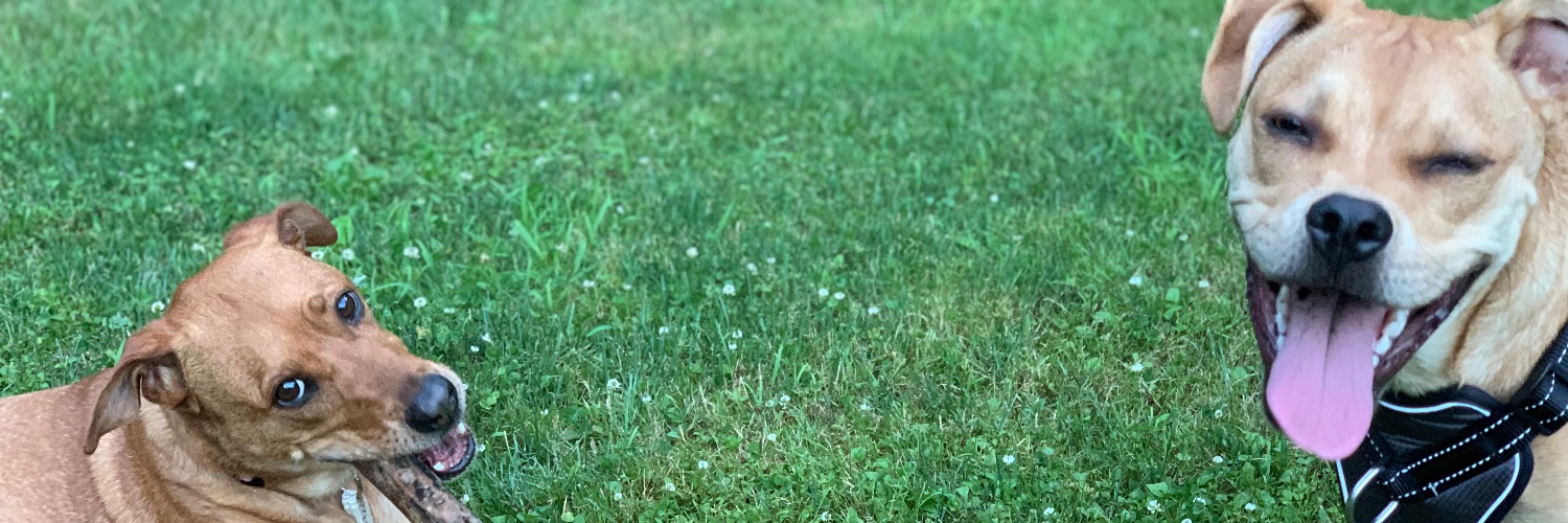 TaylorrWatson6's profile banner image