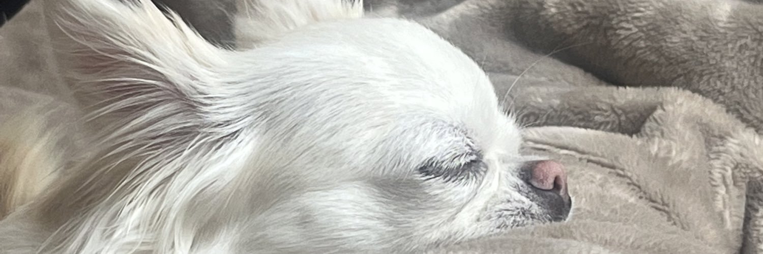 deppanotiwawa's profile banner image