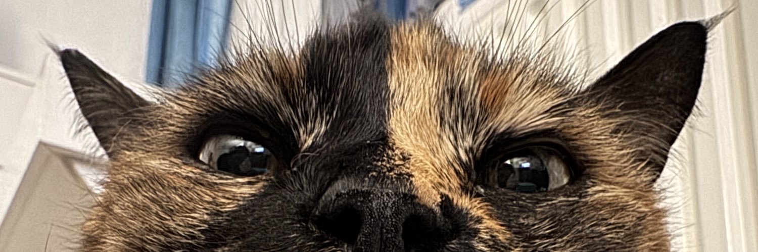 IrisVickey's profile banner image