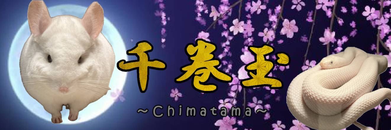 kumaneko0814's profile banner image