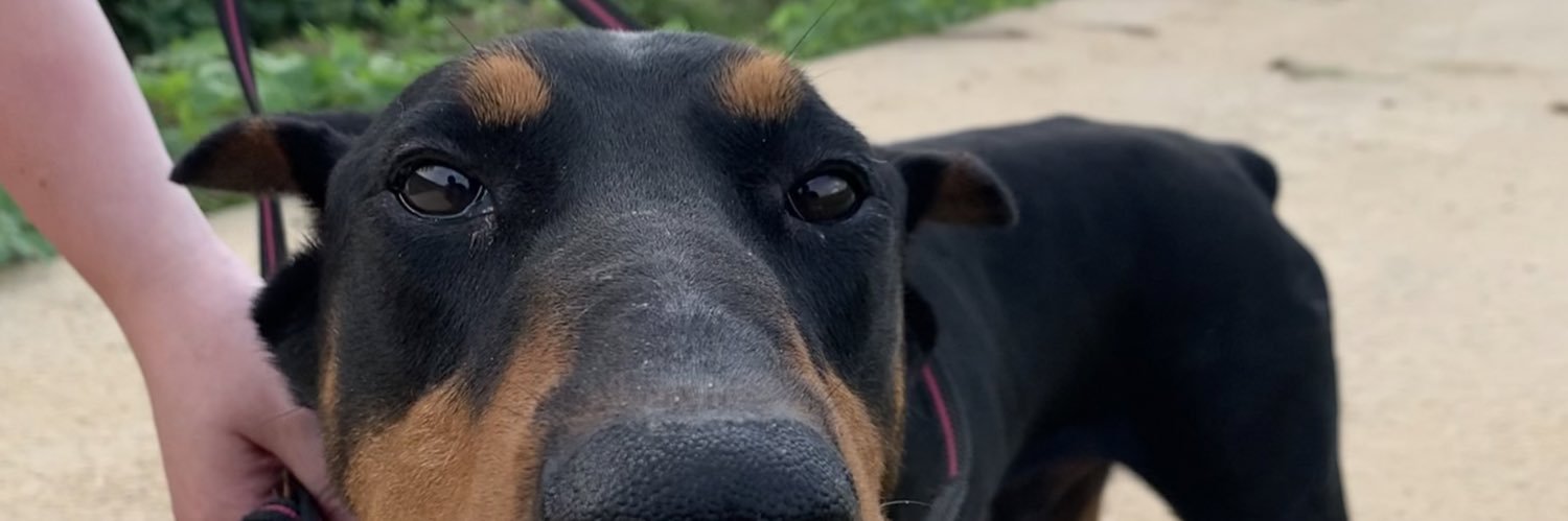 _pArtyG_'s profile banner image
