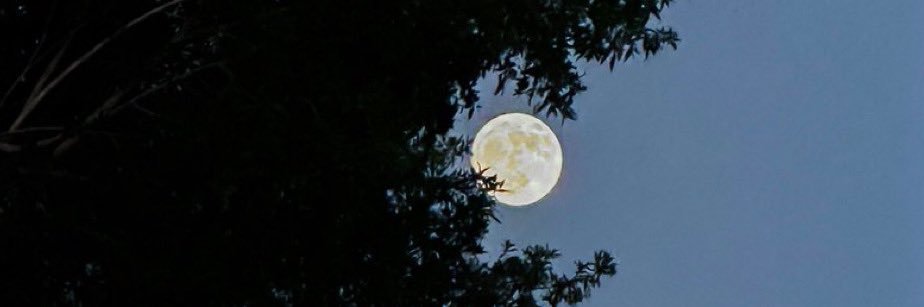 blynnxoo's profile banner image