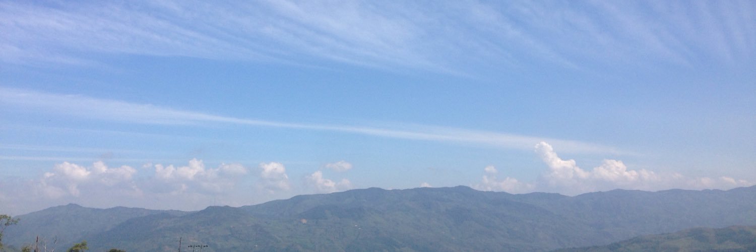 Bibiana Torres🐯🤓 banner