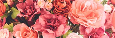 katelynatkins's profile banner image