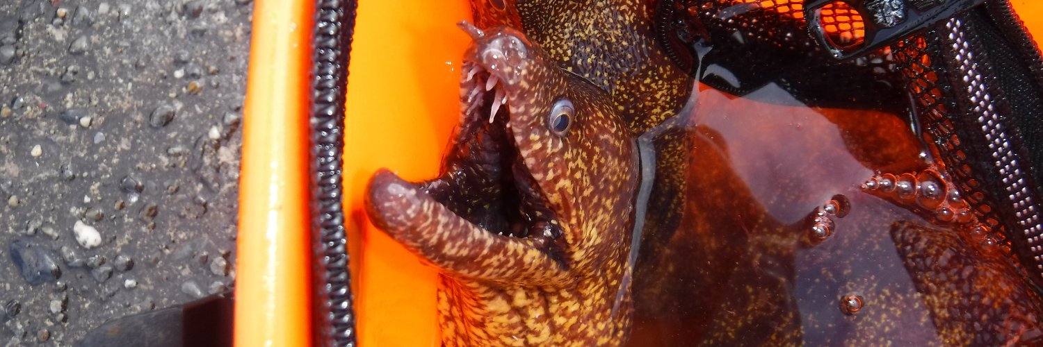 E_polyzona's profile banner image