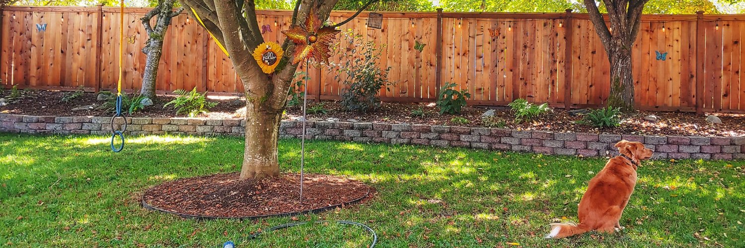 Leaving this platform - see pinned post banner