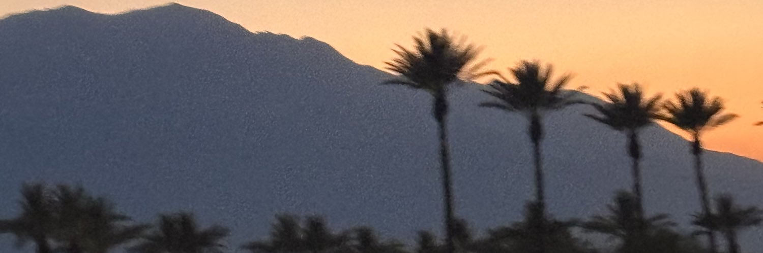 dapperdiora's profile banner image