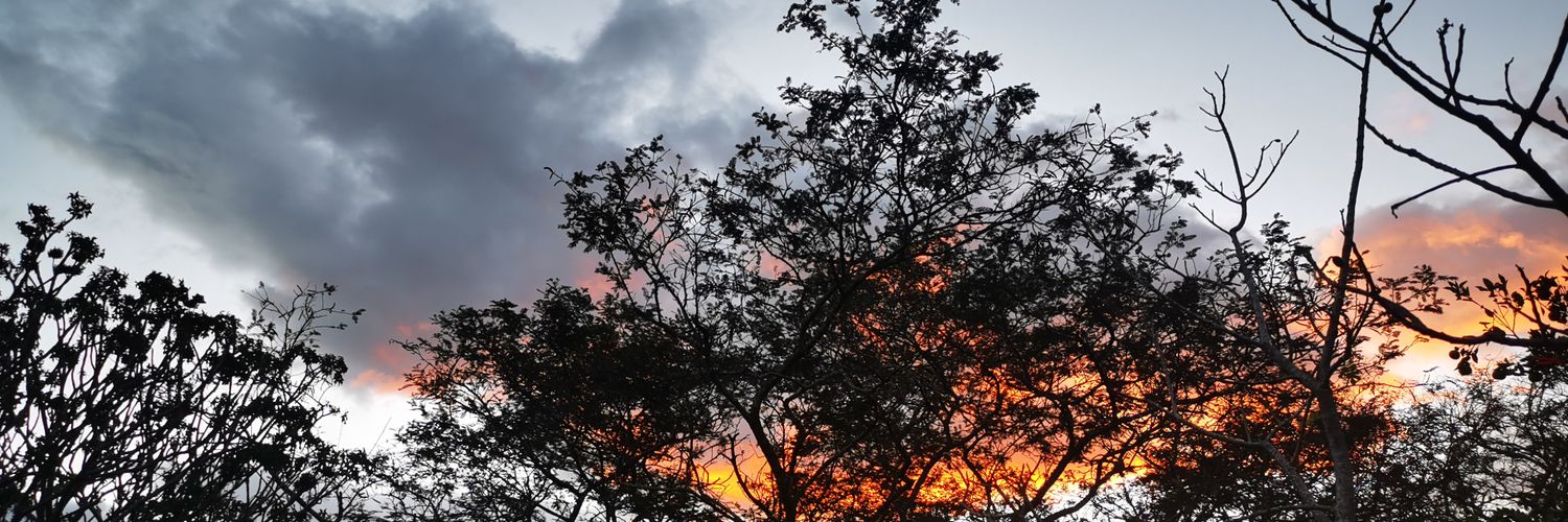 acastillo_carr's profile banner image