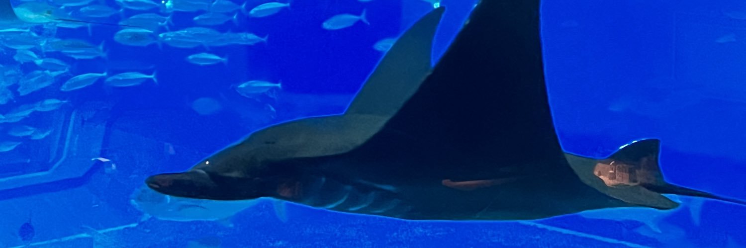 smhyt421's profile banner image