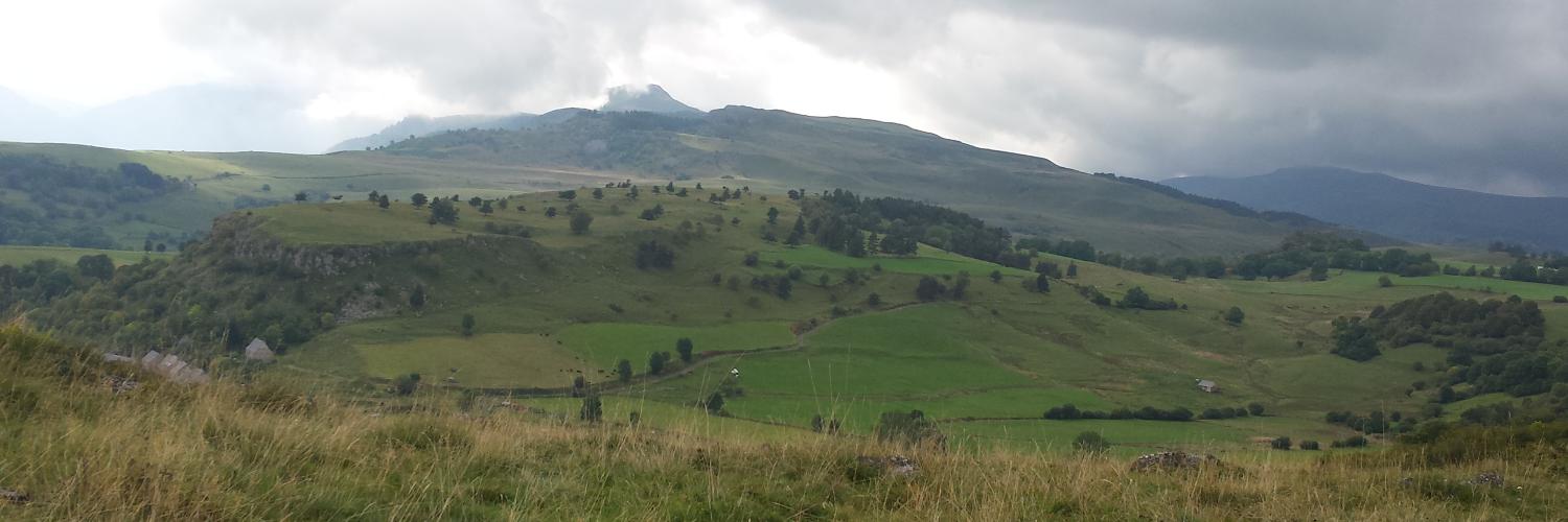Sceudii's profile banner image