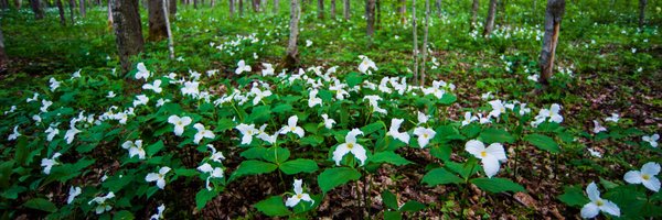 YRDSBGetOut Profile Banner