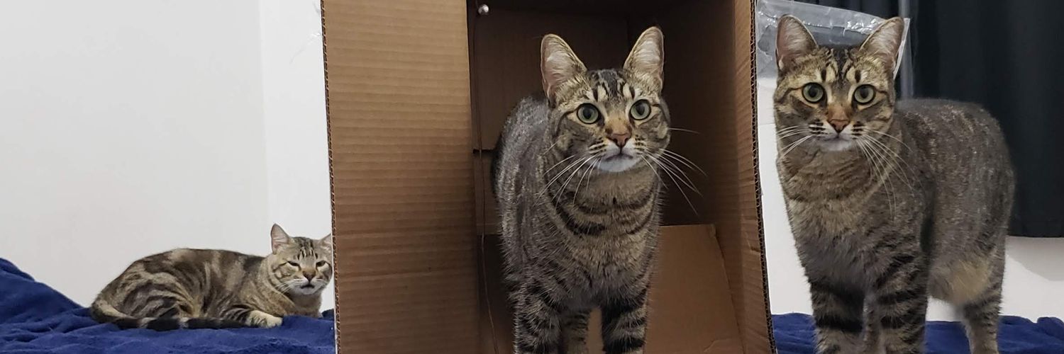 twenty one pilots no rock in rio banner