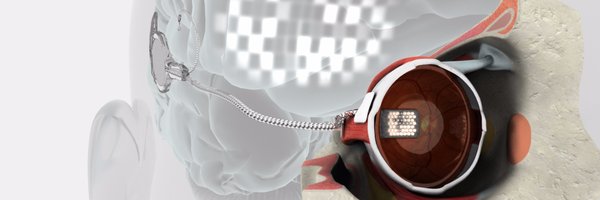 neurobionical Profile Banner