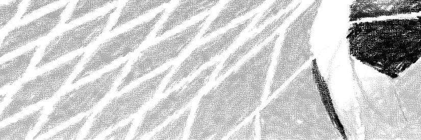 Bennington Soccer banner