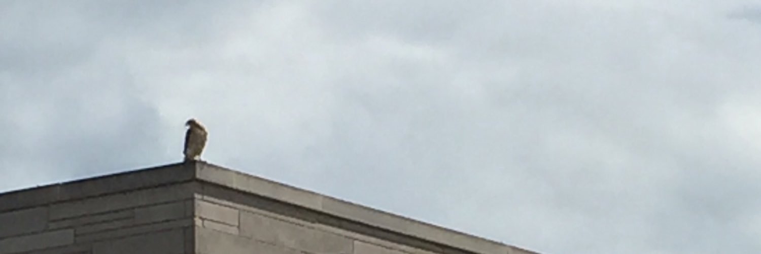 stcharlesbtown's profile banner image