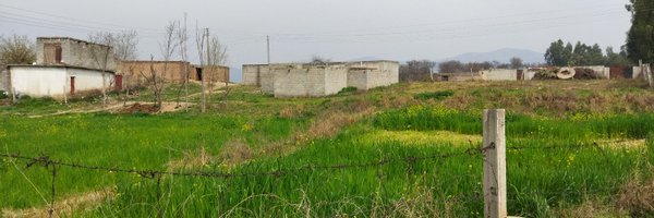 shahidtext Profile Banner