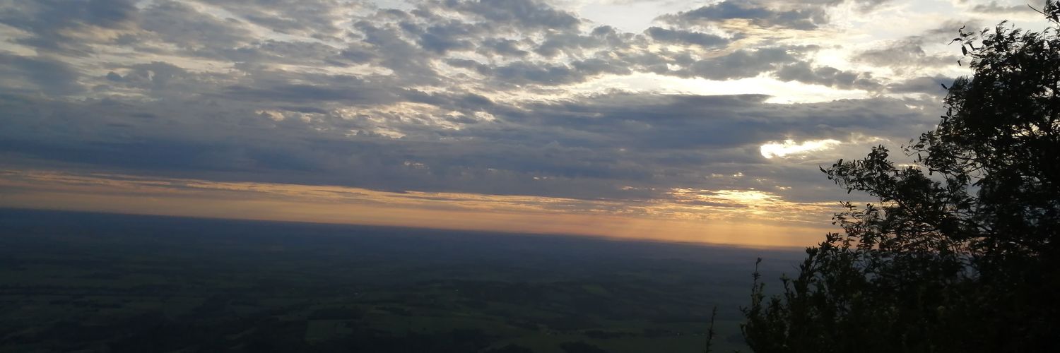 PedroMorel1's profile banner image