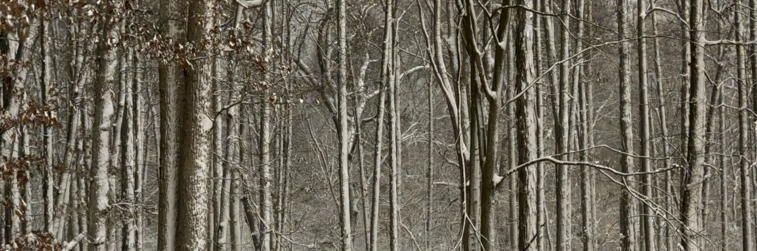 Dts6xy's profile banner image