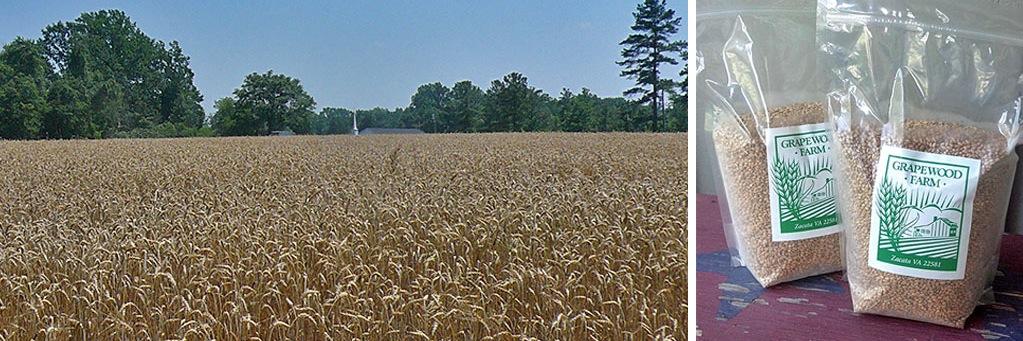 GrapewoodFarm's profile banner image