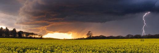 UK_Nature's profile banner image