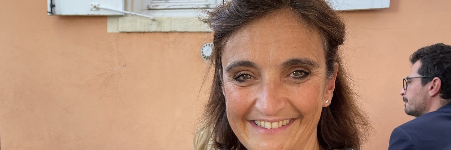 Virginie Chauvin banner