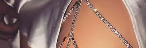 Dania banner