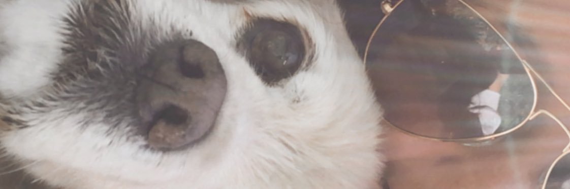 ashtonann2's profile banner image