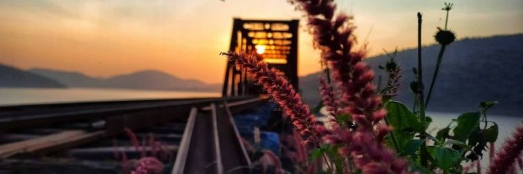 preeti_kindo's profile banner image