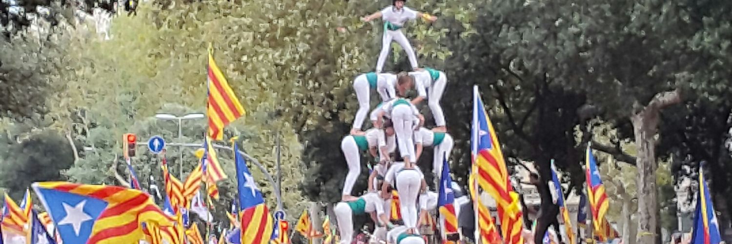 Panot(a)_bcn banner