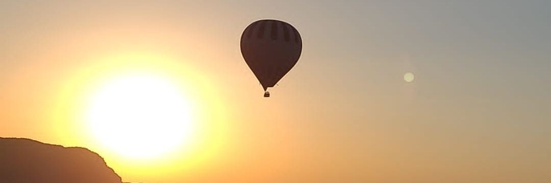 Isabel Miró Pedrola banner