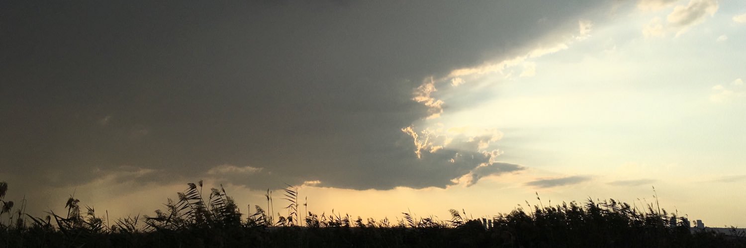 Betül banner