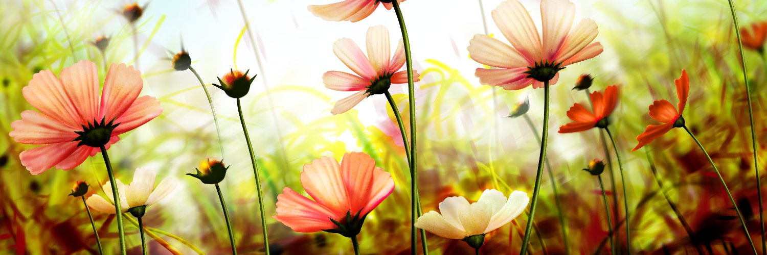rowellaballeyah's profile banner image