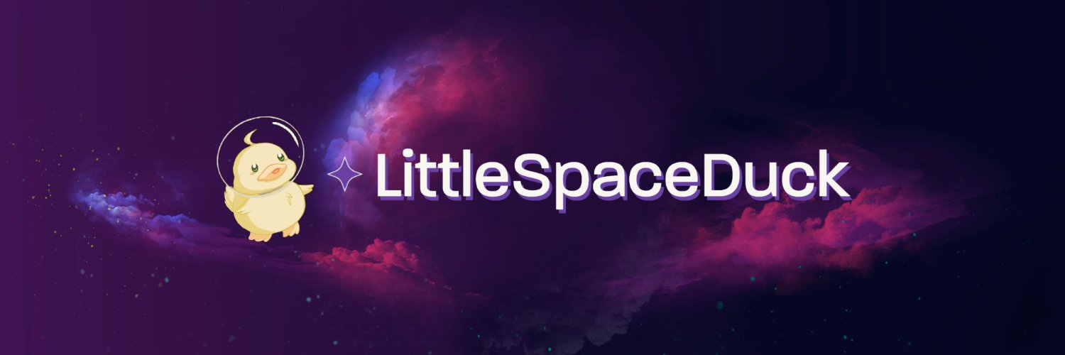 LittleSpaceDuck's profile banner image