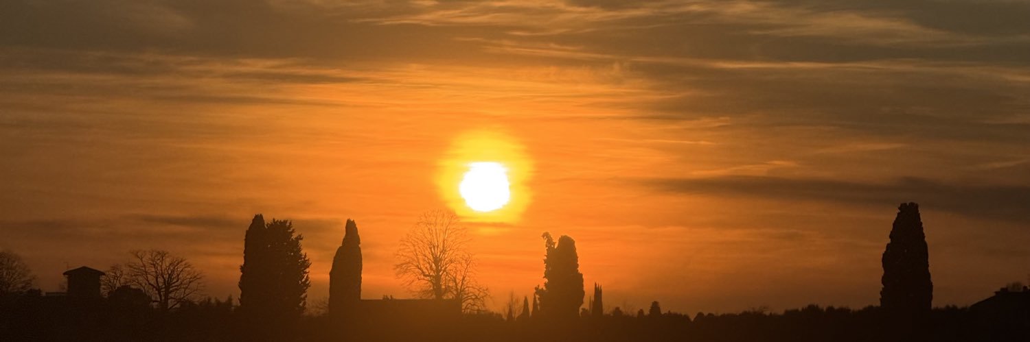 David Viveros-Carreño banner