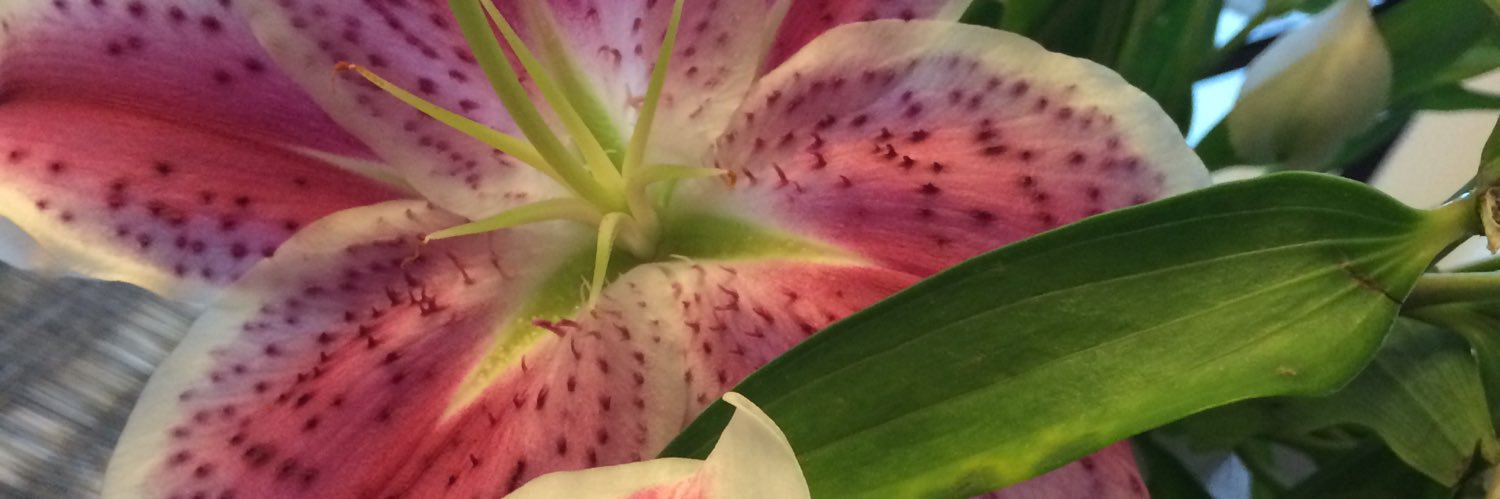 ThisIsWhyImKels's profile banner image