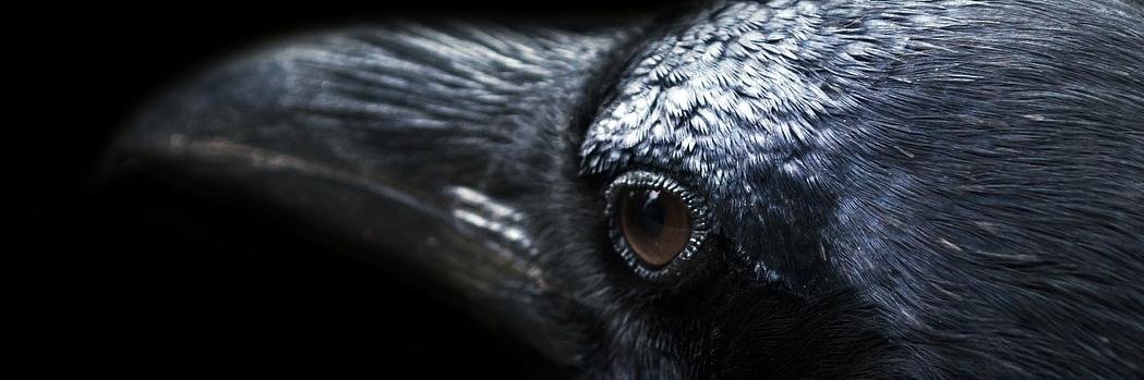 gabitu66's profile banner image