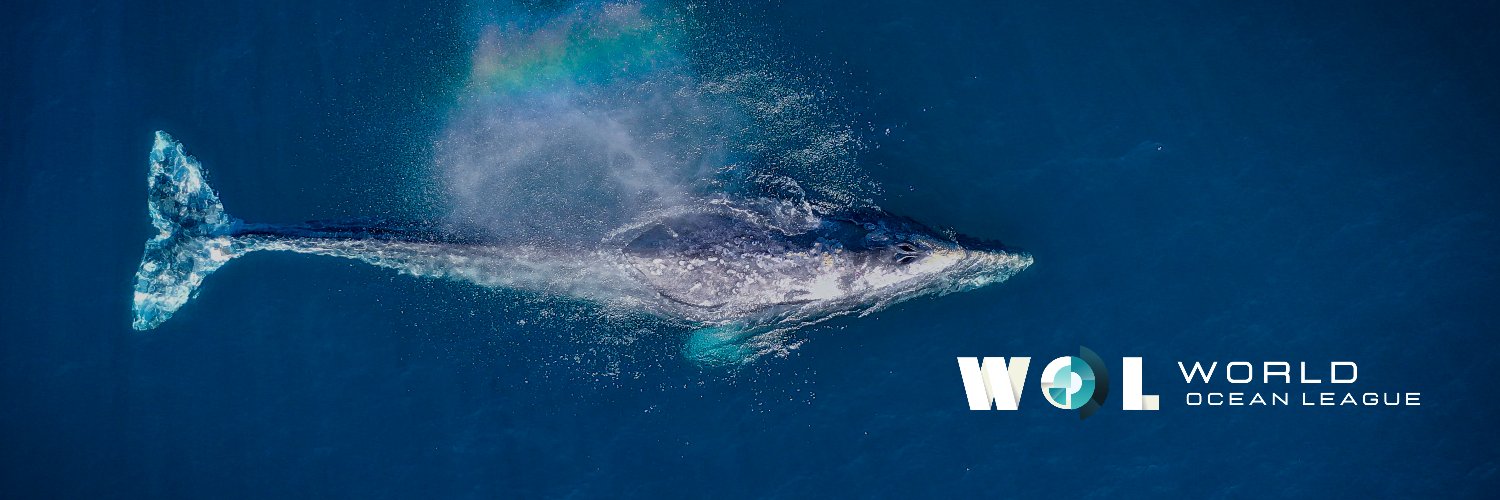 theoceanleague's profile banner image
