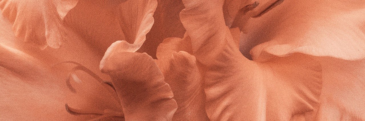 jastojanova's profile banner image