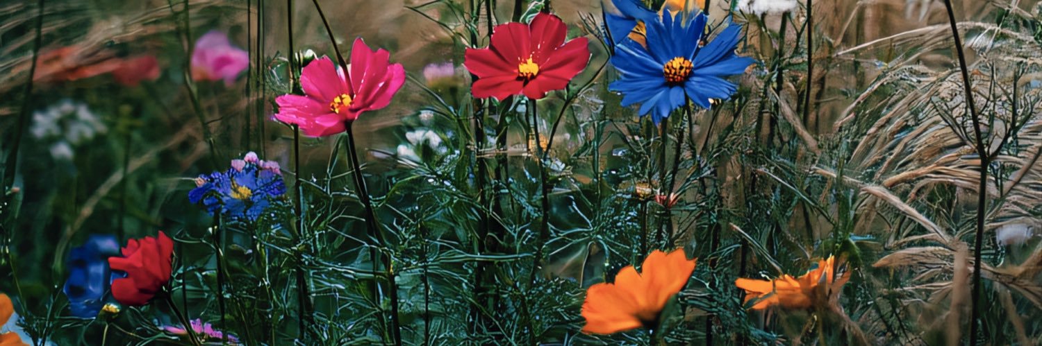 Beaela_'s profile banner image