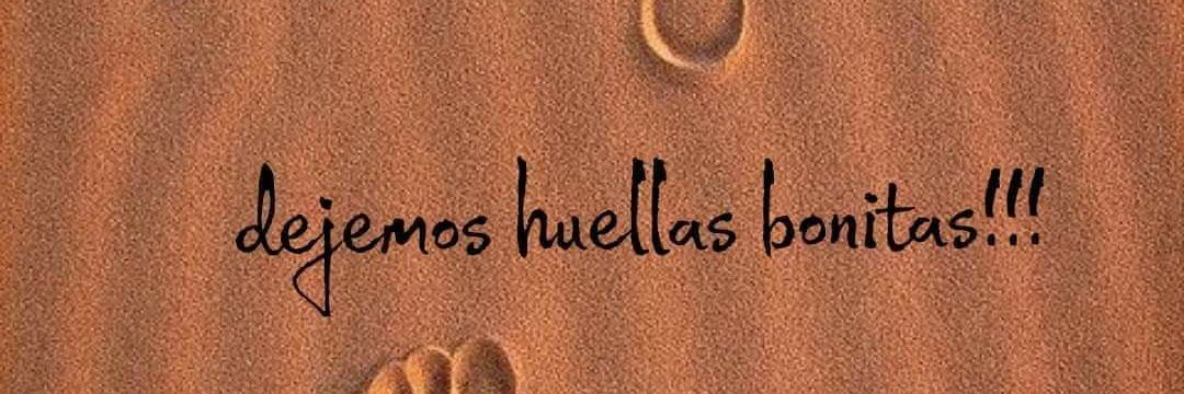 Soledad Salvagno banner