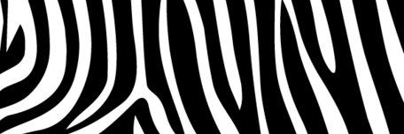 E S T E F A N I A banner