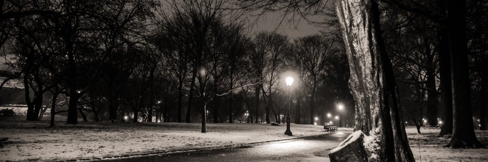 omrtariq's profile banner image