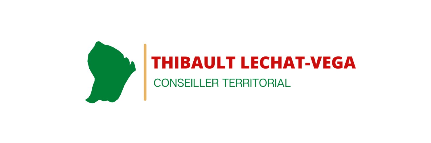 Tlechatvega's profile banner image