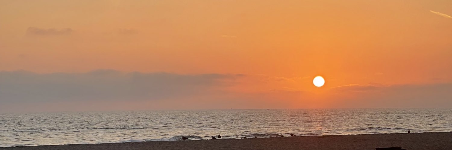 MaryL4L's profile banner image