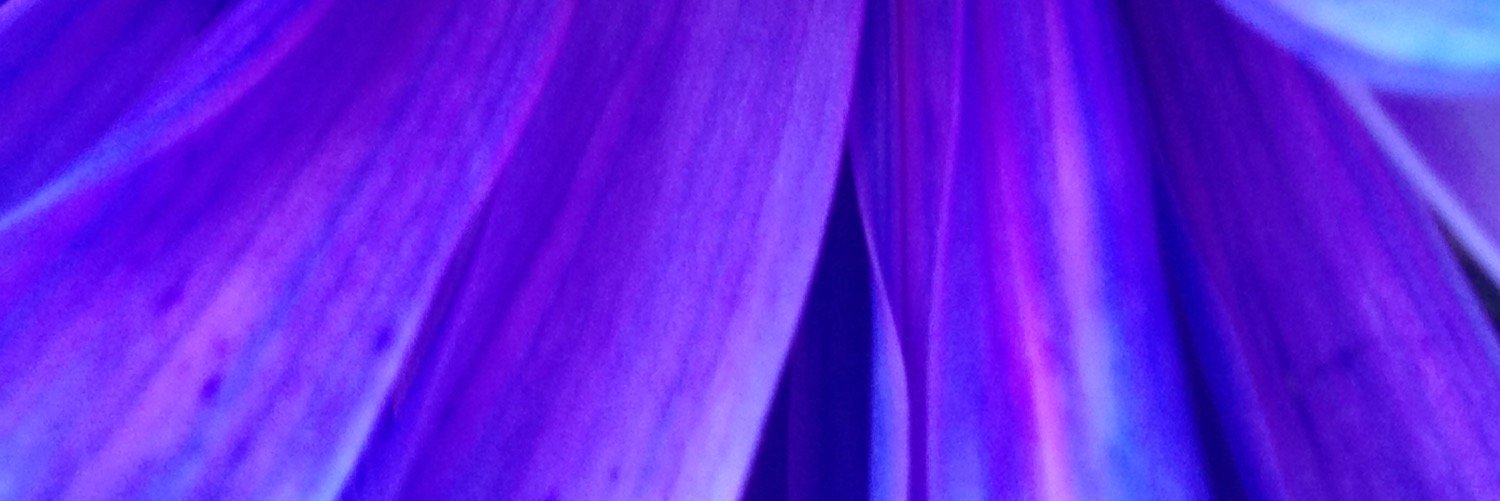 MissKogerm's profile banner image