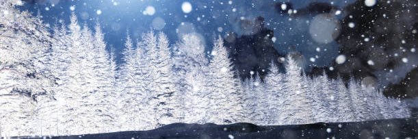 Snow_madUK's profile banner image